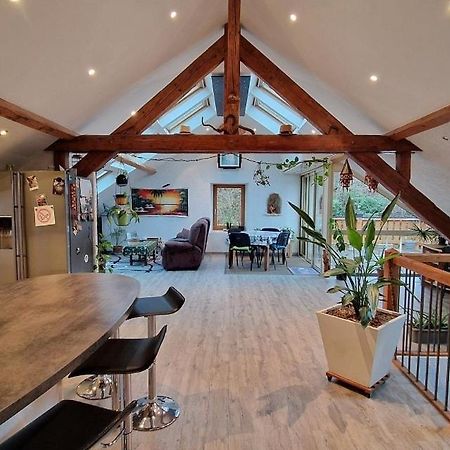 Bel Appartement 120 M² Tres Lumineux Avec Terrasse Morvillars ภายนอก รูปภาพ