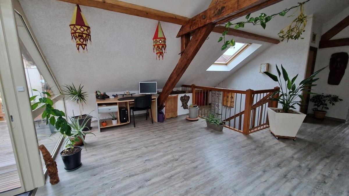 Bel Appartement 120 M² Tres Lumineux Avec Terrasse Morvillars ภายนอก รูปภาพ