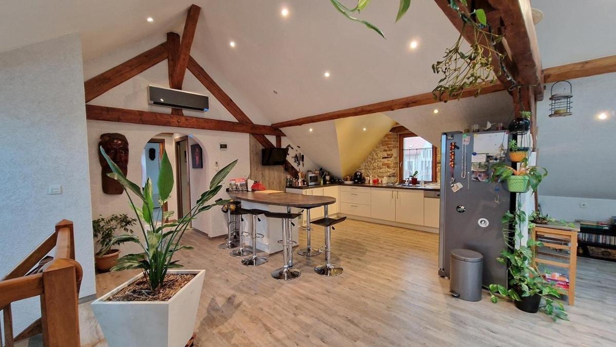 Bel Appartement 120 M² Tres Lumineux Avec Terrasse Morvillars ภายนอก รูปภาพ